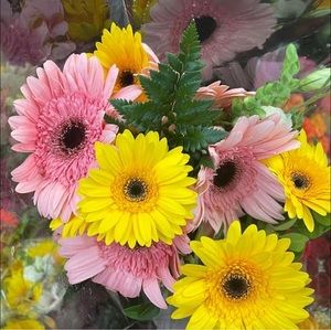 Meet your Posher, Madeline